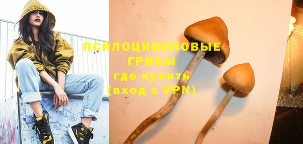 таблы Армянск