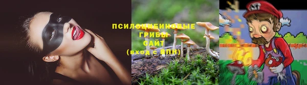 меф Арсеньев