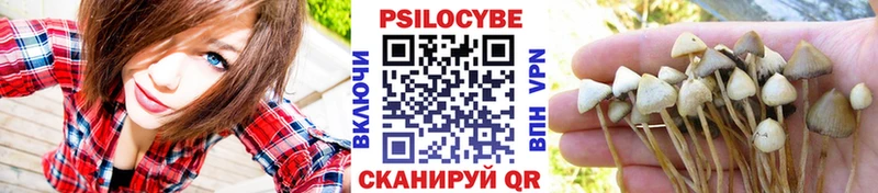 купить  сайты  Рыбное  Галлюциногенные грибы Cubensis 